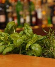 Schwabinger Wassermann Bild 9