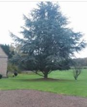 Sarl François Viltard image 3