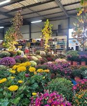 Bricomarché Orval image 20