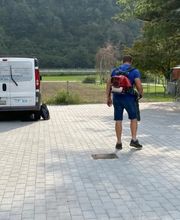 Impresa di Pulizie Puliservice Rute Bild 13