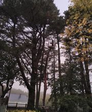 Gicquiaud Paysage image 4