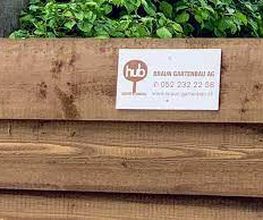 Braun Gartenbau AG Bild 10