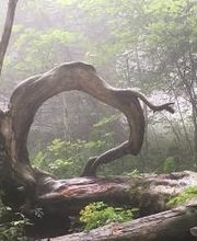 Herzensgesang Bild 20