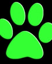 Hundeferienpension (Hundeferienparadies GmbH) Bild 3