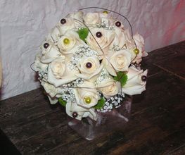 SERIFLOR image 1