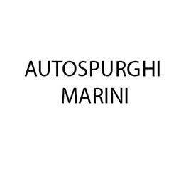 Marini Autospurghi srl logo