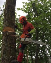 Pierre Elagage et Paysage image 5