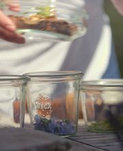 Terre Des Baronnies image 20