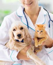 Eva Christine Wild Bild 1