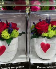 Floristería Imabel imagen 7