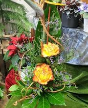 Blumen-Ecke Romana Hoss Bild 3