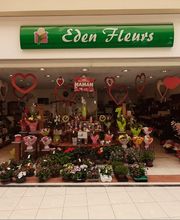 Romilly fleurs image 3