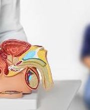 UROX imagen 3