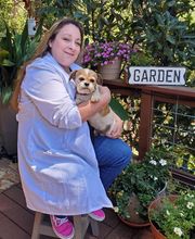 Sierra Animal Hospital image 4