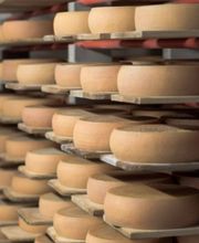 Stadtner Milchzentrale GmbH Bild 4