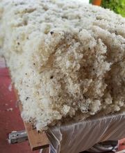 Robert Philippe image 1