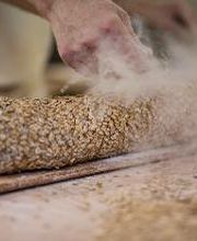 Sievers Backstube Bild 13