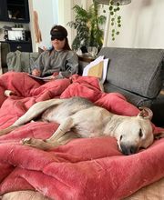 Animed : la voix de l'animal image 5
