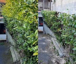 La Clé des Jardins image 8