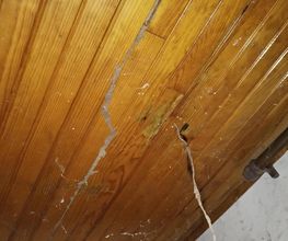 Protection Termite image 18