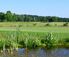 Golfanlage Harthausen Bild 4