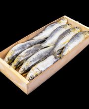 Gourmet delicatessen del mar imagen 4