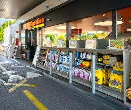 Shell Bild 6
