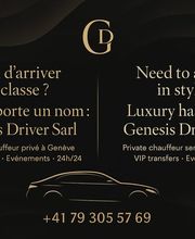 Genesis Driver Sàrl Bild 7