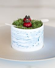 Tiara Miramar Beach Resort image 2