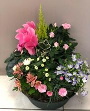 Amicie Fleurs image 6