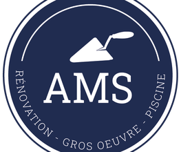 Ams image 1