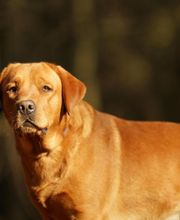 Tanja Wiedenmann Bild 7