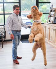 River Oak Vet image 3