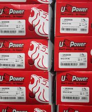 Piddini Rent Bild 13