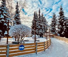 Winter World Wallisellen Bild 3