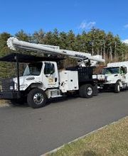 Owen's Tree Expert image 7