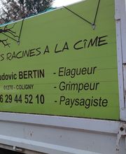 Des Racines à la Cime image 5