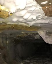 Goncalves Avelino image 2