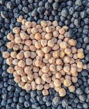 La Petite Séouve image 13