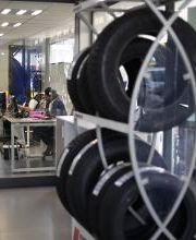 Bavi Zamora imagen 5