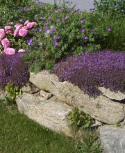 Wurm Garten- und Landschaftsbau in Mitterfels Bild 2