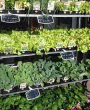 Au Jardin De Pre-Vert image 8