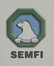 SEMFI image 3