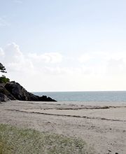 Camping De Keraeren image 4