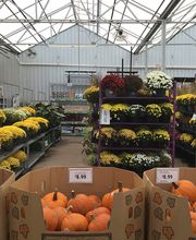 Tractor Supply Co. image 2