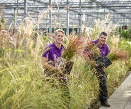 Plantencentrum Velden afbeelding 2