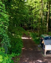 FriedWald Ohetal Bild 10