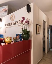 Gallery Professionale