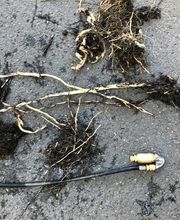 Les Deboucheurs de France image 13