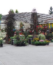 Gartenpflanzen und Zubehör